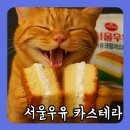 지에스25 나인트리호텔점 이미지