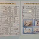 세교아이들치과의원 이미지