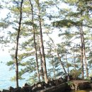 낙안읍성분재원 | [충남/보령] 상화원(尙和園)