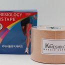 수지로얄스포츠센터 이미지