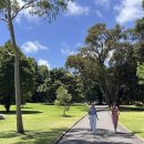 피츠로이가든 이미지