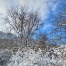 씨에스타펜션 이미지