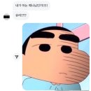 낭만과 디딛은 동의어 (디딛 한국무용 스튜디오 후기)