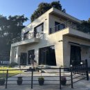 연출의 자유인 이미지