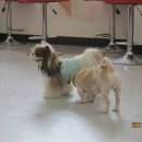 용아농장 이미지