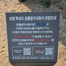 서해삼육중학교 | 보령 학성리 공룡발자국화석산지 | 공룡화석 맨삽지 물때 관람 시간