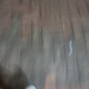 킥플립 엑디즈 쇼챔 사녹 그리고 본방