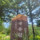 연화산 유아숲체험원 이미지
