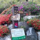 몰운대 등산로 입구 이미지