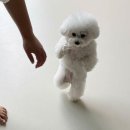 메이플유치원 이미지