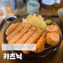 카츠닉 이미지