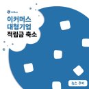 무신사 적립금 축소, 올리브영 탑리뷰어 싹뚝? 대기업들의 적립금 축소 사태!