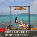 강수농장 | 우기가 아니고 건기, 여름 나트랑 여행 날씨 및 액티비티 추천
