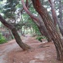 천보근린공원 티스토리