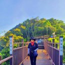 하늘다리민박 이미지