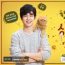 상상고양이 이미지