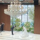 [솔직하객후기] 푸릇푸릇한 야외결혼식 같았던 웨딩홀; 로프트가든344