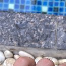 엘마르(El Mar) 이미지