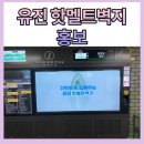 종합광고유진