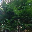 가람마을8단지 동문굿모닝힐 이미지