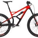 올라이드 이미지