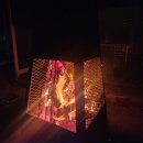 윤스테이 | 부산 기장 스파펜션 윤스테이인기장 B동 애견동반 후기｜부산 여행 숙소 추천