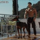 육체개조사관학교 이미지