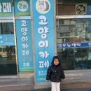 아이캣유 | 익산고양이카페 아이랑 가기 좋은 곳, 아이캣유 다녀온 후기