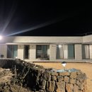 금등스테이199