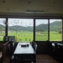 팔송정식당 네이버블로그