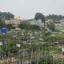 도시농장 이미지