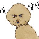 하행스