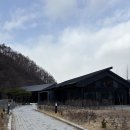 용인 크리스마스 카페 묵리459 주차 포토존 후기