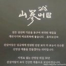 영농조합법인 토굴발효 | 평창 오대산 8년근 산양삼 그대로 담은 발효산양삼 환, 직접 먹어본 후기