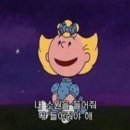 안산조은요양보호사교육원 이미지