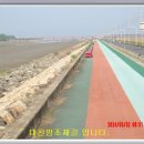 대천천1 이미지