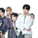 파우
