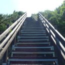 (주)대원고속관광 이미지