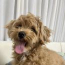 용준목장 이미지