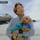 제주특별자치도 동물위생시험소 (동물보호센터) 동물병원 이미지