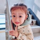떼떼상점