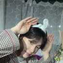 공프로 이미지