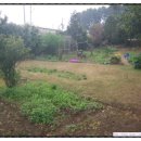 노을과포도향기 이미지