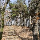 덕절산생태공원 이미지