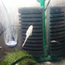 동해시-37 이미지