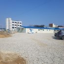 베드로 농장 네이버블로그