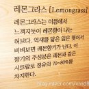 남포동데이트코스 / 남포동안마카페 심신프리 :: 마사지 받고 커피도 즐겨!