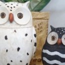 부엉이샵 이미지