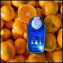 다미 농장 이미지