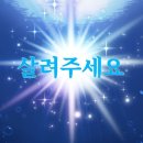 새빛작은도서관 | 그냥 받아들이는 거예요 들이받을 수는 없으니까